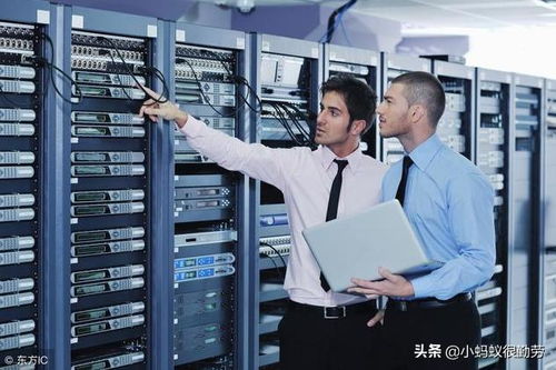 服務(wù)器子系統(tǒng)解析 硬件形態(tài)與主流操作系統(tǒng)概覽